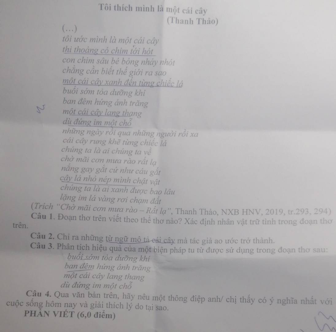 Tôi thích mình là một cái cây 
(Thanh Thảo) 
(…) 
tôi ước mình là một cái cây 
thi thoảng có chim tới hót 
con chim sâu bé bỏng nhảy nhót 
chắng cần biết thế giới ra sao 
một cái cây xanh đến từng chiếc lá 
buôi sớm tỏa dưỡng khí 
ban đêm hứng ánh trăng 
một cái cây lạng thang 
dù đứng im một chỗ 
những ngày rồi qua những người rồi xa 
cái cây rung khẽ từng chiếc lá 
chúng ta là ai chúng ta về 
chờ mãi cơn mưa rào rất lạ 
nắng gay gắt cứ như cáu gắt 
cây lá nhỏ nép mình chật vật 
chúng ta là ai xanh được bao lâu 
lặng im lá vàng rơi chạm đất 
(Trich “Chờ mãi cơn mưa rào - Rất lạ”, Thanh Thảo, NXB HNV, 2019, tr.293, 294) 
Câu 1. Đoạn thơ trên viết theo thể thơ nào? Xác định nhân vật trữ tình trong đoạn thơ 
trên. 
Câu 2. Chỉ ra những từ ngữ mô tả cái cây mà tác giả ao ước trở thành. 
Câu 3. Phân tích hiệu quả của một biện pháp tu từ được sử dụng trong đoạn thơ sau: 
buổi sớm tỏa dưỡng khí 
ban đêm hứng ánh trăng 
một cái cây lang thang 
dù đứng im một chỗ 
Câu 4. Qua văn bản trên, hãy nêu một thông điệp anh/ chị thấy có ý nghĩa nhất với 
cuộc sống hôm nay và giải thích lý do tại sao. 
PHÀN VIÊT (6,0 điểm)