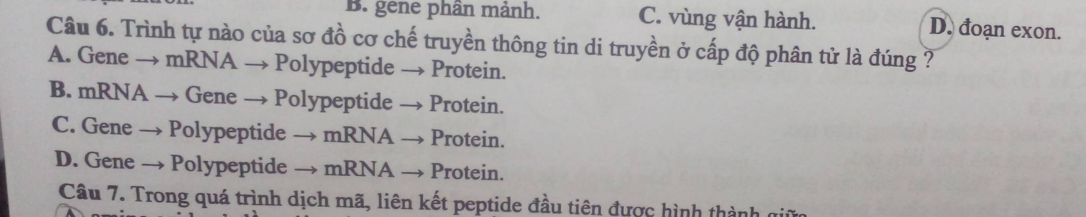 B. gene phân mảnh. C. vùng vận hành. D. đoạn exon.
Câu 6. Trình tự nào của sơ đồ cơ chế truyền thông tin di truyền ở cấp độ phân tử là đúng ?
A. Gene → mRNA → Polypeptide → Protein.
B. mRNA → Gene → Polypeptide → Protein.
C. Gene → Polypeptide → mRNA → Protein.
D. Gene → Polypeptide → mRNA → Protein.
Câu 7. Trong quá trình dịch mã, liên kết peptide đầu tiên được hình thành gii