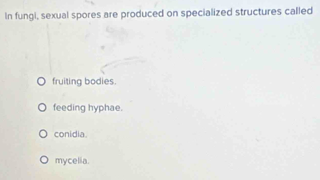 In fungi, sexual spores are produced on specialized structures called
fruiting bodies.
feeding hyphae.
conidia.
mycelia.