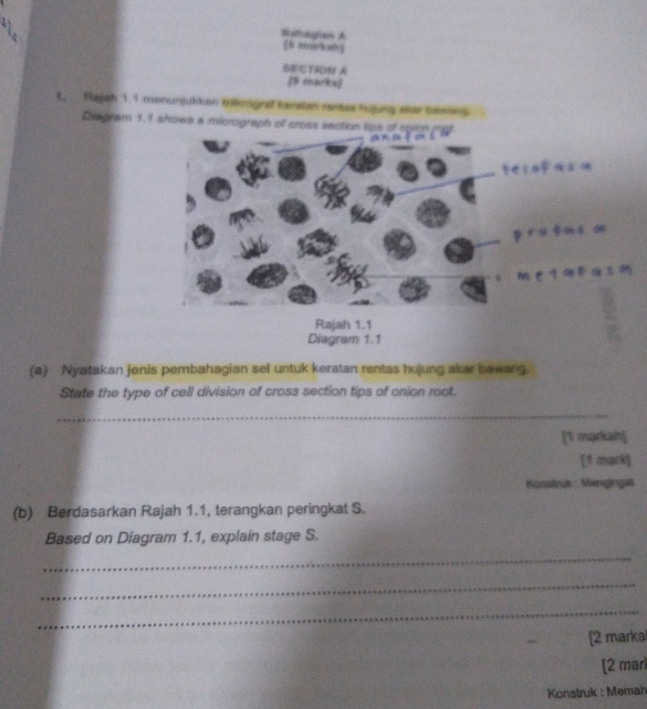 Btngins A 
5 markang 
SECTION A 
ZD ennkn] 
t. Fujah 1.5 monunjukkan mlkmgraf kanstan rantes hujung skar banng 
Disgram 1 
(a) Nyatakan jenis pembahagian sel untuk keratan rentas hujung akar bawang. 
State the type of cell division of cross section tips of onion root. 
_ 
[1 markah] 
[1 mark] 
Sonstruk : Mengingat 
(b) Berdasarkan Rajah 1.1, terangkan peringkat S. 
Based on Diagram 1.1, explain stage S. 
_ 
_ 
_ 
[2 marka 
[2 marl 
Konatruk : Memah