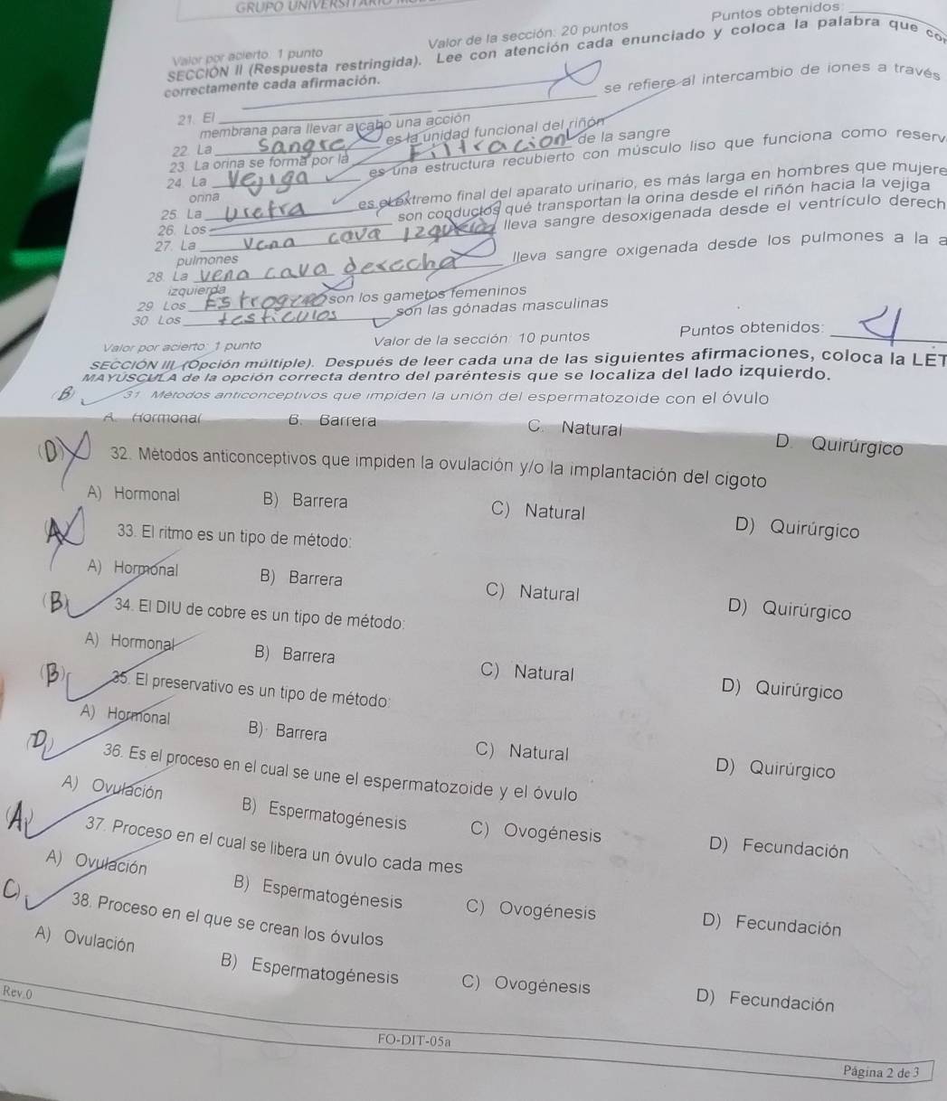 GRUPO UNIVERSITAR
Valor por acierto: 1 punto  Valor de la sección: 20 puntos Puntos obtenidos_
SECCIÓN II (Respuesta restringida). Lee con atención cada enunciado y coloca la palabra que co
correctamente cada afirmación.
21. El __se refiere al intercambio de iones a través
membrana para llevar a cabo una acción
22. La es la unidad funcional del riñón
de la sangre
24 La __es una estructura recubierto con músculo liso que funciona como reser
23. La orina se forma por là
25 La __Lextremo final del aparato urinario, es más larga en hombres que mujere
orna
son conduc  qué transportan la orina desde el riñón hacia la vejiga
as
26. Los_
_lleva sangre desoxigenada desde el ventrículo derech
27. La
pulmones
leva sangre oxigenada desde los pulmones a la a
28 La
izquierda
29 Los son los gametos femeninos
30 Los_ _son las gónadas masculinas
Valor por acierto: 1 punto Valor de la sección: 10 puntos Puntos obtenidos_
sECCIÓN IIL (Opción múltiple). Después de leer cada una de las siguientes afirmaciones, coloca la LET
MAYUSCULA de la opción correcta dentro del paréntesis que se localiza del lado izquierdo.
31 Métodos anticonceptivos que impiden la unión del espermatozoide con el óvulo
A Hormonal 6. Barrera C. Natural
D. Quirúrgico
32. Métodos anticonceptivos que impiden la ovulación y/o la implantación del cigoto
A) Hormonal B) Barrera C) Natural D) Quirúrgico
A 33. El ritmo es un tipo de método:
A) Hormonal B) Barrera C) Natural D) Quirúrgico
34. El DIU de cobre es un tipo de método:
A) Hormonal B) Barrera C Natural D) Quirúrgico
35. El preservativo es un tipo de método:
A) Hormonal B)  Barrera C) Natural D) Quirúrgico
36. Es el proceso en el cual se une el espermatozoide y el óvulo
A) Ovulación B) Espermatogénesis C) Ovogénesis D) Fecundación
37. Proceso en el cual se libera un óvulo cada mes
A) Ovulación B) Espermatogénesis C) Ovogénesis
C 38. Proceso en el que se crean los óvulos
D) Fecundación
A) Ovulación B) Espermatogénesis C) Ovogénesis D) Fecundación
Rev0
FO-DIT-05a
Página 2 de 3