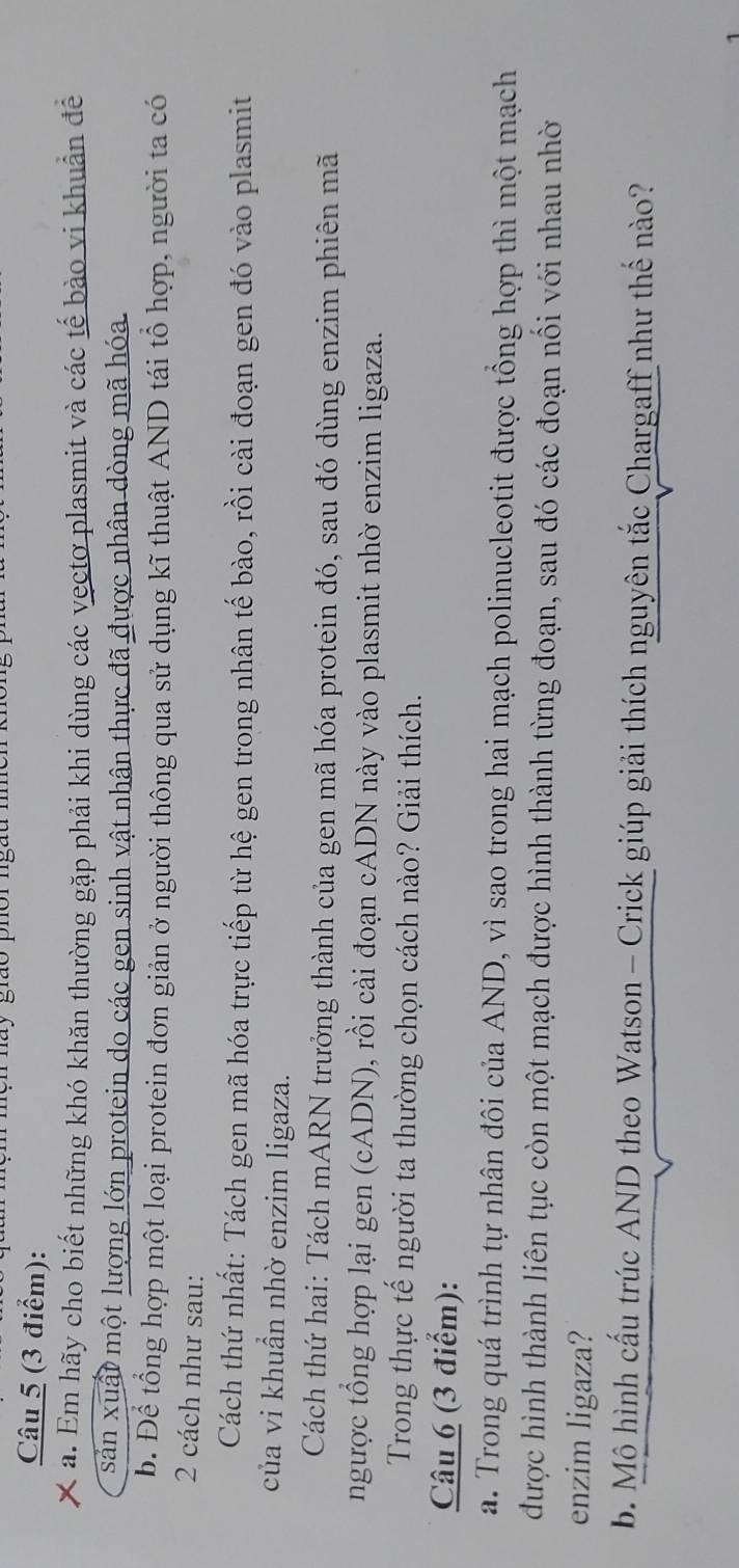 Em hãy cho biết những khó khăn thường gặp phải khi dùng các vectơ plasmit và các tế bảo vi khuẩn để 
sản xuất một lượng lớn protein do các gen sinh vật nhân thực đã được nhân dòng mã hóa. 
b. Để tổng hợp một loại protein đơn giản ở người thông qua sử dụng kĩ thuật AND tái tổ hợp, người ta có 
2 cách như sau: 
Cách thứ nhất: Tách gen mã hóa trực tiếp từ hệ gen trong nhân tế bào, rồi cài đoạn gen đó vào plasmit 
của vi khuẩn nhờ enzim ligaza. 
Cách thứ hai: Tách mARN trưởng thành của gen mã hóa protein đó, sau đó dùng enzim phiên mã 
ngược tổng hợp lại gen (cADN), rồi cài đoạn cADN này vào plasmit nhờ enzim ligaza. 
Trong thực tế người ta thường chọn cách nào? Giải thích. 
Câu 6 (3 điểm): 
a. Trong quá trình tự nhân đôi của AND, vì sao trong hai mạch polinucleotit được tổng hợp thì một mạch 
được hình thành liên tục còn một mạch được hình thành từng đoạn, sau đó các đoạn nối với nhau nhờ 
enzim ligaza? 
b. Mô hình cấu trúc AND theo Watson - Crick giúp giải thích nguyên tắc Chargaff như thể nào?