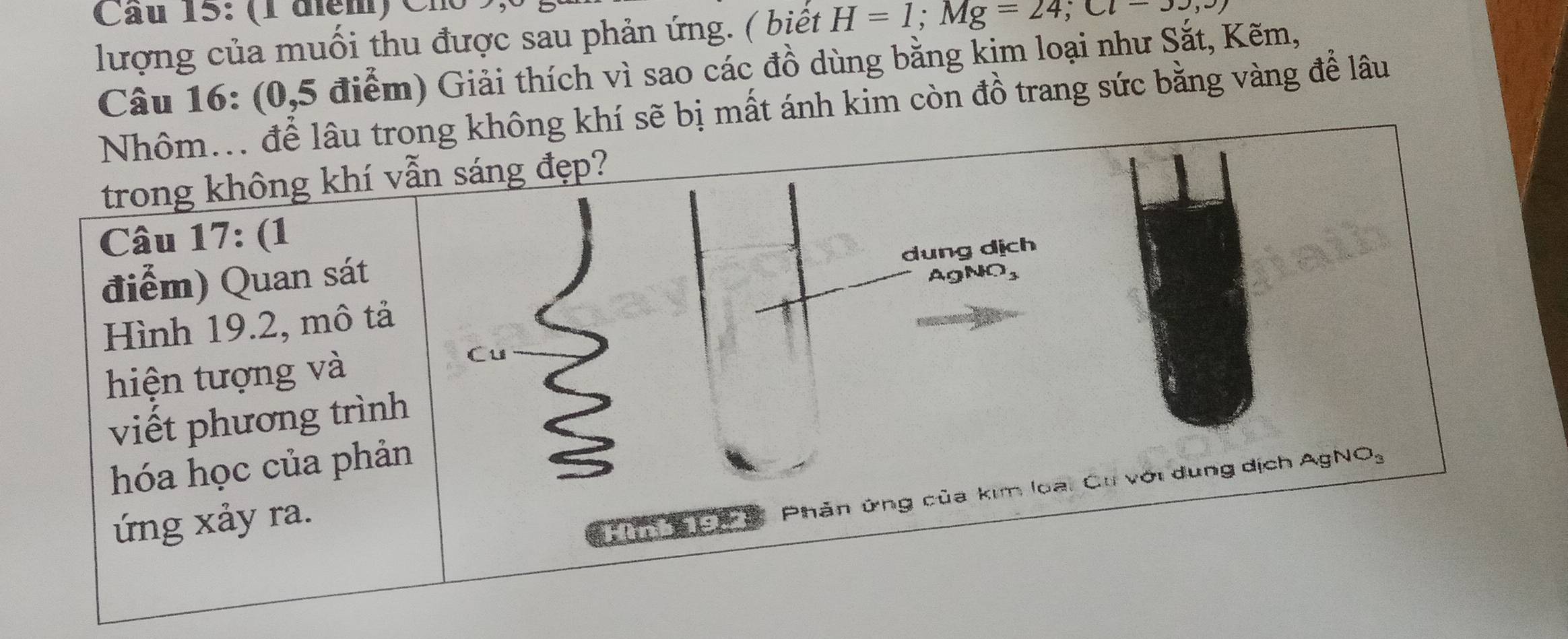 Cầu 15: (1 điểm) Ch 
lượng của muồi thu được sau phản ứng. ( biết H=1; Mg=24; Cl-
Câu 16: (0,5 điểm) Giải thích vì sao các đồ dùng bằng kim loại như Sắt, Kẽm, 
Nhôm... để lâu trong không khí sẽ bị mất ánh kim còn đồ trang sức bằng vàng để lâu 
trong không khí vẫn sáng đẹp? 
Câu 17: (1 
dung dịch 
điểm) Quan sát 
Hình 19.2, mô tả AgNO3 
hiện tượng và Cu 
viết phương trình 
hóa học của phản 
ứng xảy ra. 
nb 19.2 Phản ứng của kim loại Cu với dung dịch
AgNO_3