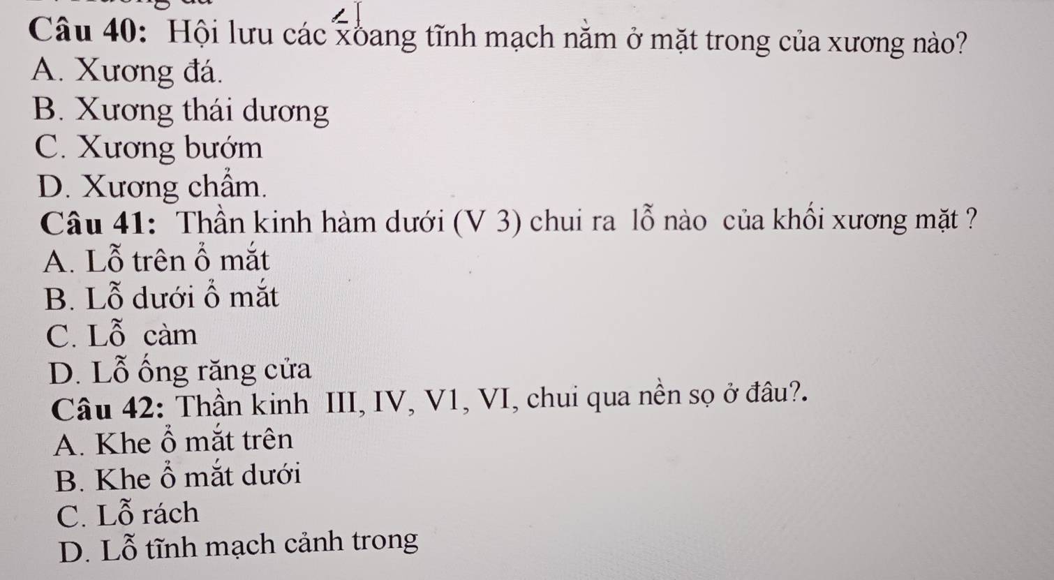 Hội lưu các xoang tĩnh mạch nằm ở mặt trong của xương nào?
A. Xương đá.
B. Xương thái dương
C. Xương bướm
D. Xương chẩm.
Câu 41: Thần kinh hàm dưới (V 3) chui ra lỗ nào của khối xương mặt ?
A. Lỗ trên ỗ mắt
B. Lỗ dưới ỗ mắt
C. Lỗ càm
D. Lỗ ống răng cửa
Câu 42: Thần kinh III, IV, V1, VI, chui qua nền sọ ở đâu?.
A. Khe ổ mắt trên
B. Khe ổ mắt dưới
C. Lỗ rách
D. Lỗ tĩnh mạch cảnh trong