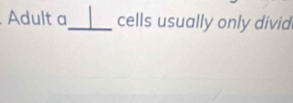 Adult a_ cells usually only divid