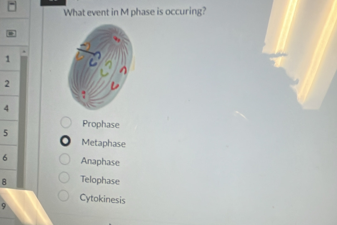 What event in M phase is occuring?
1
2
4
Prophase
5
Metaphase
6 Anaphase
8 Telophase
Cytokinesis
9