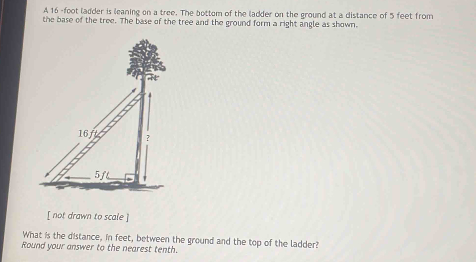 A 16 -foot ladder is leaning on a tree. The bottom of the ladder on the ground at a distance of 5 feet from 
the base of the tree. The base of the tree and the ground form a right angle as shown. 
[ not drawn to scale ] 
What is the distance, in feet, between the ground and the top of the ladder? 
Round your answer to the nearest tenth.