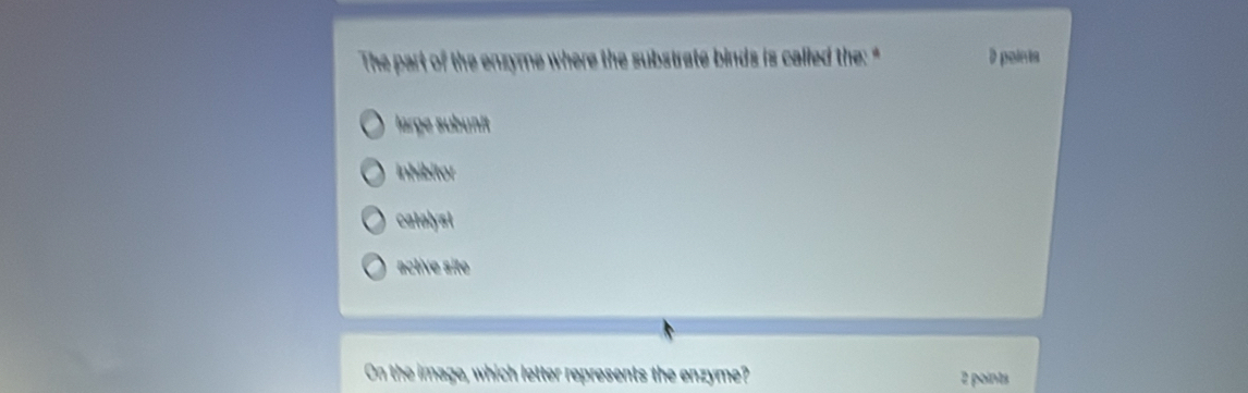 The part of the enzyme where the substrate binds is called the: " D poiets
large subünit
inhibitor
catelyst
active site
On the image, which letter represents the enzyme? 2 points