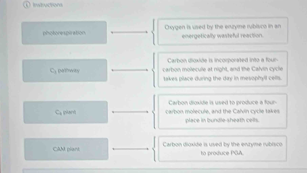 Instructions 
Oxygen is used by the enzyme rubisco in an 
photorespiration 
energetically wasteful reaction. 
Carbon dioxide is incorporated into a four- 
Ca pathway carbon molecule at night, and the Calvin cycle 
takes place during the day in mesophyll cells. 
Carbon dioxide is used to produce a four- 
Ca plant carbon molecule, and the Calvin cycle takes 
place in bundle-sheath cells. 
Carbon dioxide is used by the enzyme rubisco 
CAM plant 
to produce PGA.