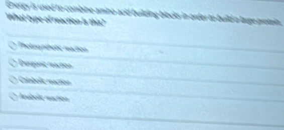 this?
Thotormthètic reaction
Diergonic reacton
Catabolic reaction
rabolic reaction