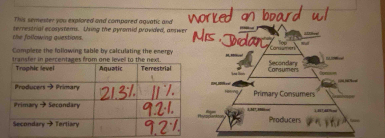 This semester you explored and compared aquatic and 
terrestrial ecosystems. Using the pyramid provided, answer n 3598kzol 
the following questions. Top 1121keu 
Consumers 
Complete the following table by calculating the energy 36,986k cel 
transfer Secondary 12,15 &kesl 
See lion Consumers Oposson
214,359kral 52454 7urei 
Primary Consumers
3,567,986keol 1,357,687kcol
Producers Guet