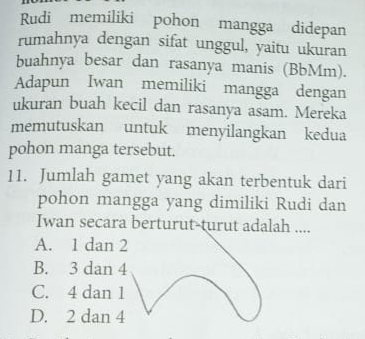 Rudi memiliki pohon mangga didepan
rumahnya dengan sifat unggul, yaitu ukuran
buahnya besar dan rasanya manis (BbMm).
Adapun Iwan memiliki mangga dengan
ukuran buah kecil dan rasanya asam. Mereka
memutuskan untuk menyilangkan kedua
pohon manga tersebut.
11. Jumlah gamet yang akan terbentuk dari
pohon mangga yang dimiliki Rudi dan
Iwan secara berturut-turut adalah ....
A. 1 dan 2
B. 3 dan 4
C. 4 dan 1
D. 2 dan 4