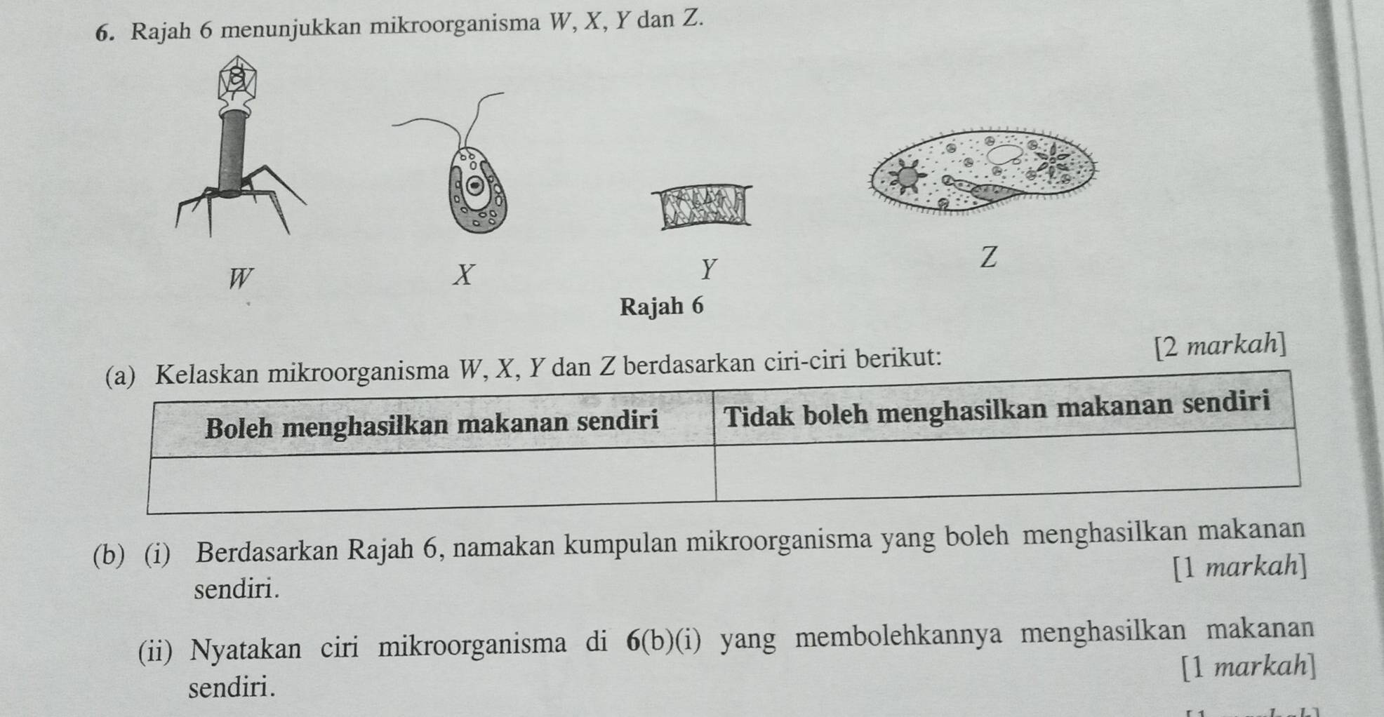 Rajah 6 menunjukkan mikroorganisma W, X, Y dan Z.
Z
W
X
Y
Rajah 6 
(a) Kelaskan mikroorganisma W, X, Y dan Z berdasarkan ciri-ciri berikut: 
[2 markah] 
Boleh menghasilkan makanan sendiri Tidak boleh menghasilkan makanan sendiri 
(b) (i) Berdasarkan Rajah 6, namakan kumpulan mikroorganisma yang boleh menghasilkan makanan 
[1 markah] 
sendiri. 
(ii) Nyatakan ciri mikroorganisma di 6(b)(i) yang membolehkannya menghasilkan makanan 
sendiri. [1 markah]