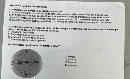 Exercícios - Divisão Celular: Mitose
1) A mitose é um processo de divisão celular que:
a) leva à formação de duas células-filhas com o mesmo número de cromossomos que a célula-mãe.
b) leva à formação de duas células-filhas com metade do número de cromossomos que a célula-mãe.
c) leva à formação de quatro células-filhas com o mesmo número de cromossomos que a célula-mãe.
d) leva à formação de quatro células-filhas com metade do número de cromossomos que a célula-mãe.
2) A mitose é uma das etapas do ciclo celular. Indique a alternativa que apresenta um processo que
não ocorre na fase mitótica, e sim na interfase.
a) O nucléolo desaparece.
b) O envelope nuclear se fragmenta.
c) Ocorre a formação do fuso mitótico.
d) Há duplicação do material genético.
3) Qual estágio da mitose está ilustrado abaixo?
a) Prófase.
b) Anáfase.
c) Telófase.
d) Metáfase.