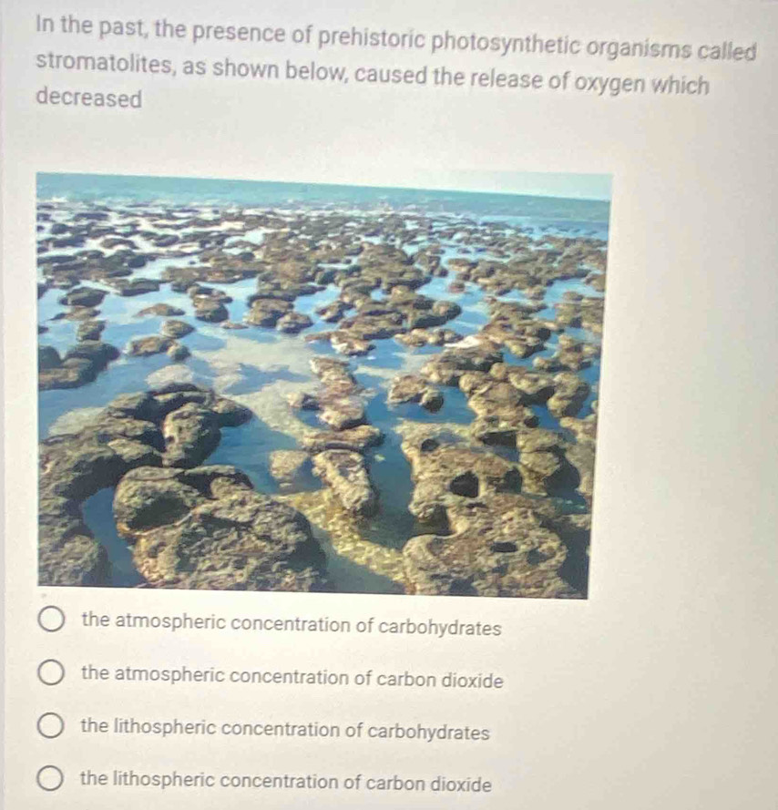 In the past, the presence of prehistoric photosynthetic organisms called
stromatolites, as shown below, caused the release of oxygen which
decreased
the atmospheric concentration of carbohydrates
the atmospheric concentration of carbon dioxide
the lithospheric concentration of carbohydrates
the lithospheric concentration of carbon dioxide