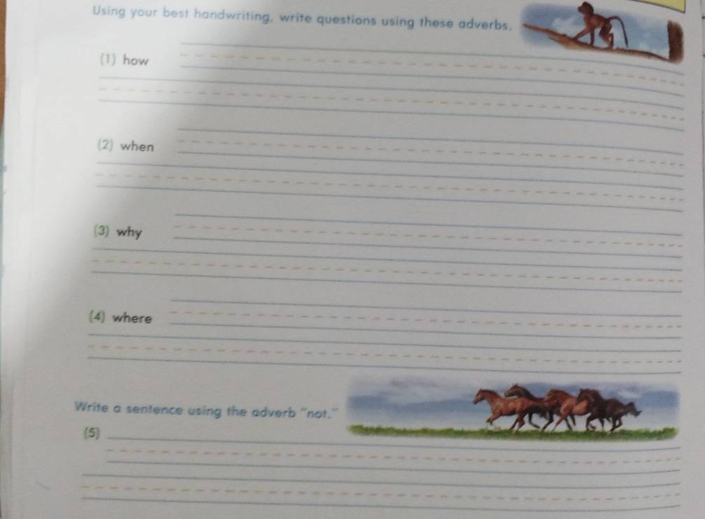 Using your best handwriting, write questions using these adverbs. 
_ 
(1) how 
_ 
_ 
_ 
_ 
_ 
_ 
_ 
_ 
_ 
(2) when 
_ 
_ 
_ 
_ 
_ 
_ 
_ 
_ 
(3) why 
__ 
_ 
_ 
_ 
_ 
__ 
_ 
(4) where_ 
_ 
_ 
_ 
_ 
_ 
_ 
_ 
Write a sentence using the adverb "not." 
(5)_ 
_ 
_ 
_ 
_ 
_ 
_ 
_