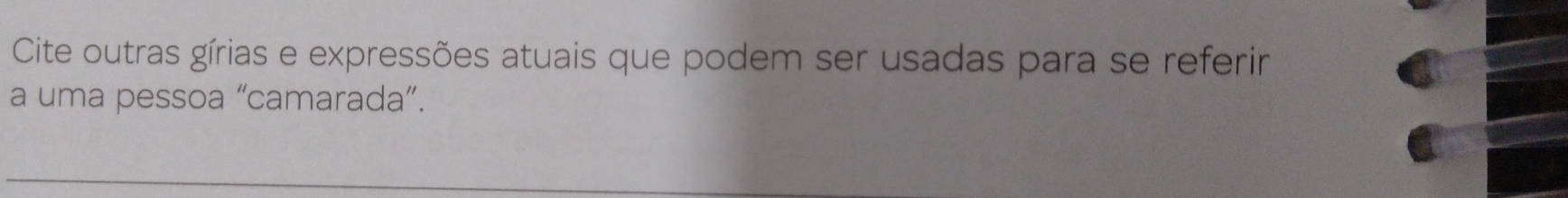 Cite outras gírias e expressões atuais que podem ser usadas para se referir 
a uma pessoa “camarada”.