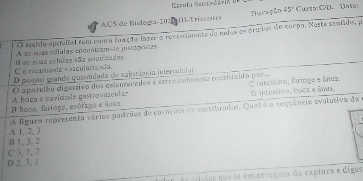 Escola Secundária d
ACS de Biologia-202 HI-Trimestre Duração 45^, Curso:CD. Data:
O tecido epitelial tem como função fazer o revestimento de todos os órgãos do corpo. Neste sentido, p
A as suas células encontram-se justapostas.
B as suas células são anucleadas.
C é ricamente vascularizado.
D possui grande quantidade de substância intercelular.
O aparelho digestivo dos celenterados é essencialmente constituído por...
A boca e cavidade gastrovascular. C intestino, faringe e ânus.
B boca, faringe, esófago e ânus. D intestino, boca e ânus.
A figura representa vários padrões de corações de vertebrados. Qual é a sequência evolutiva da
A 1, 2, 3
B 1, 3, 2
C 3, 1, 2
D 2, 3, 1
A s células que se encarregam da captura e diges