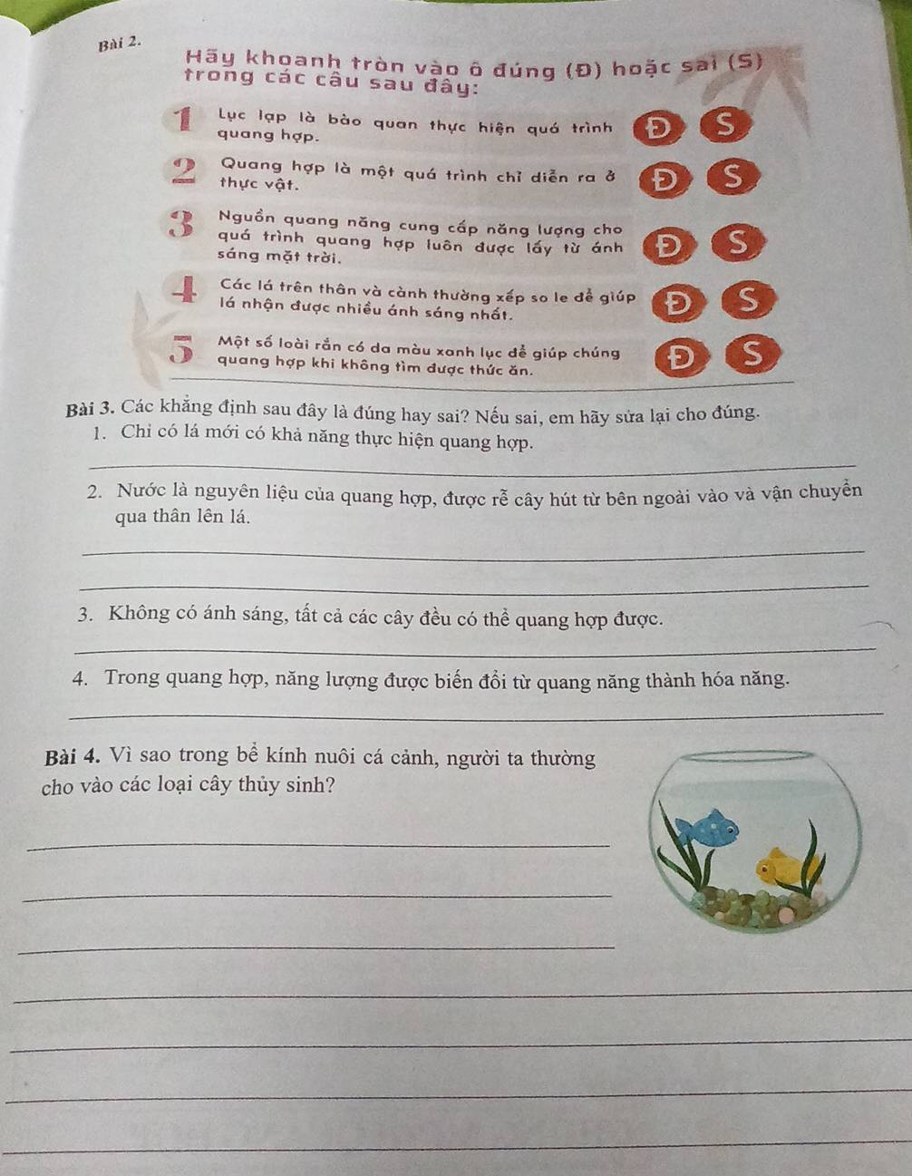 Hãy khoanh tròn vào ô đúng (Đ) hoặc sai (S) 
trong các câu sau đây: 
1 Lục lạp là bào quan thực hiện quó trình D S 
quang hợp. 
Quang hợp là một quá trình chỉ diễn ra ở Đ : S 
2 thực vật. 
3 Nguồn quang năng cung cấp năng lượng cho 
quá trình quang hợp luôn được lấy từ ánh ĐS 
sáng mặt trời. 
Các lá trên thân và cành thường xếp so le để giúp DS 
lá nhận được nhiều ánh sáng nhất. 
Một số loài rắn có da màu xanh lục để giúp chúng Đ S 
quang hợp khi không tìm được thức ăn. 
Bài 3. Các khẳng định sau đây là đúng hay sai? Nếu sai, em hãy sửa lại cho đúng. 
1. Chi có lá mới có khả năng thực hiện quang hợp. 
__ 
2. Nước là nguyên liệu của quang hợp, được rễ cây hút từ bên ngoài vào và vận chuyển 
qua thân lên lá. 
_ 
_ 
3. Không có ánh sáng, tất cả các cây đều có thể quang hợp được. 
_ 
4. Trong quang hợp, năng lượng được biến đổi từ quang năng thành hóa năng. 
_ 
Bài 4. Vì sao trong bể kính nuôi cá cảnh, người ta thường 
cho vào các loại cây thủy sinh? 
_ 
_ 
_ 
_ 
_ 
_ 
_