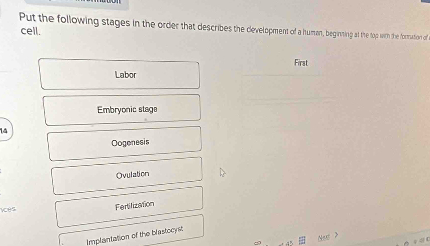 Put the following stages in the order that describes the development of a human, beginning at the top with the formation of
cell.
First
Labor
Embryonic stage
14
Oogenesis
Ovulation
ces
Fertilization
Implantation of the blastocyst
45 Next >