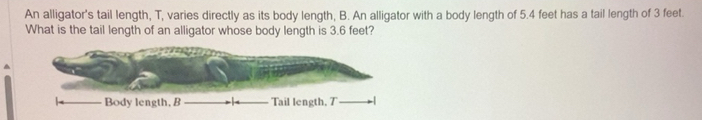 Solved: An alligator's tail length, T, varies directly as its body ...