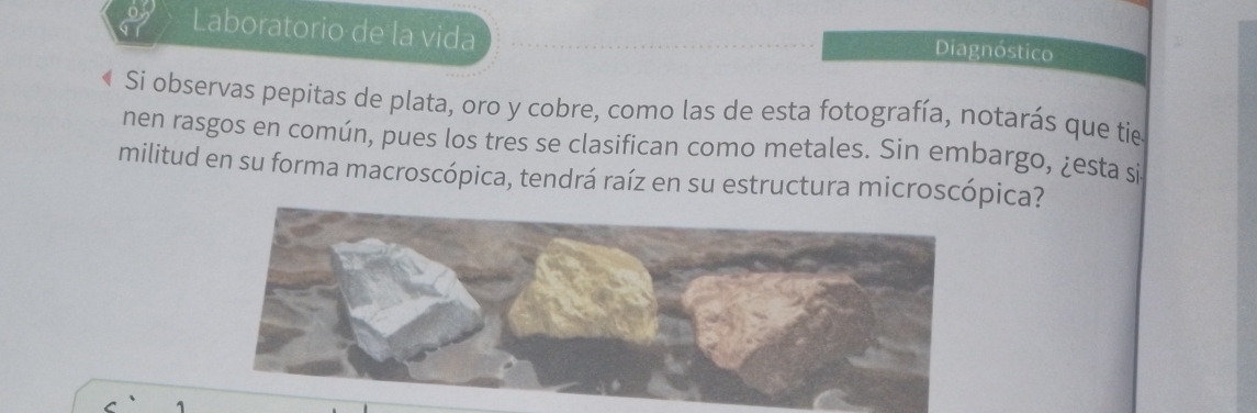 Laboratorio de la vida 
Diagnóstico 
Si observas pepitas de plata, oro y cobre, como las de esta fotografía, notarás que tie 
nen rasgos en común, pues los tres se clasifican como metales. Sin embargo, ¿esta si 
militud en su forma macroscópica, tendrá raíz en su estructura microscópica?