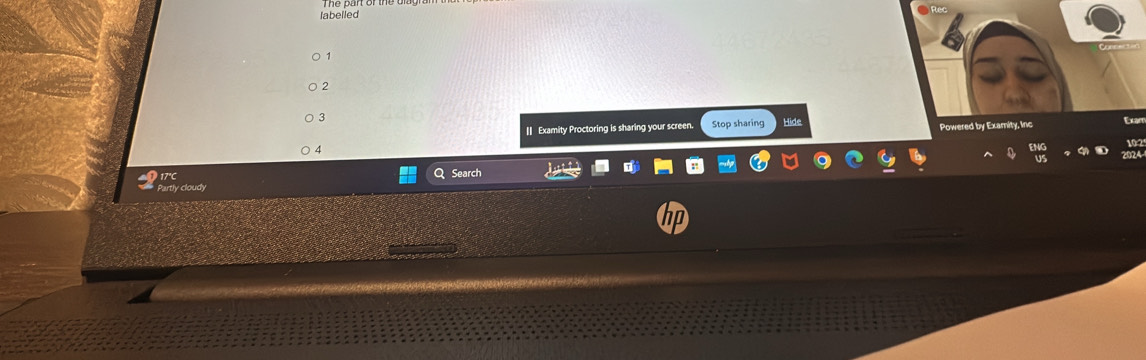 labelled 
1 
2 
3 
[] Examity Proctoring is sharing your screen. Stop sharing Hide Powered by Examity, Inc a
4
7'C 
Search