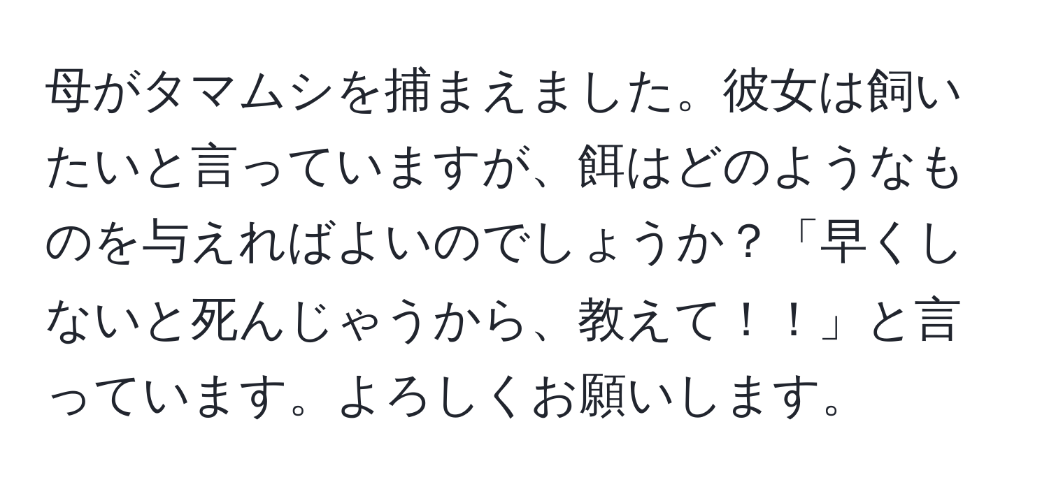 母がタマムシを捕まえました。彼女は飼いたいと言っていますが、餌はどのようなものを与えればよいのでしょうか？「早くしないと死んじゃうから、教えて！！」と言っています。よろしくお願いします。