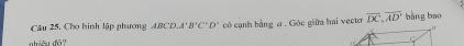 Câu 25, Cho hình lập phương ABCL A'B'C'D' có cạnh bằng a. Góc giữa hai vecto overline DC, overline AD bằng bào 
nhiêu đá?
