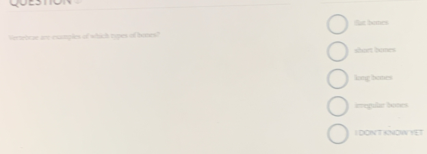 QueStION
tht bomes
Vertebrae are examples of which types of bones?
shart banes
long bones
irregular bones
IDONT KNOW YET