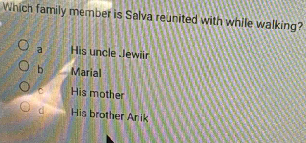 Which family member is Salva reunited with while walking?
a His uncle Jewiir
b Marial
C His mother
d His brother Ariik