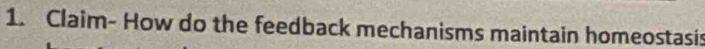 Claim- How do the feedback mechanisms maintain homeostasis