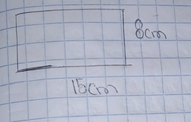 8cm
16cm