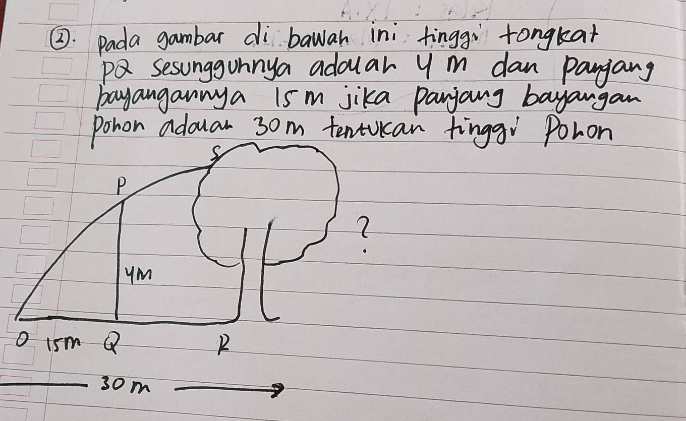 ②. pada gambar dibawah ini tinggì tongkat
pQ sesunggunnya adouar y m dan pangang 
bayangannya 1s m jika panjang bayangan 
Pohon adouan 3om tentucan finggi Poron
P
( 
ymu 
0 1sm Q
_3om 
_