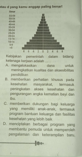 atau d yang kamu anggap paling benar!
Umur
55 - 59
45 -49 50 - 54
35 - 39 40 - 44
25 - 29 30 - 34
20 - 24
10 -14 15 - 19
5 - 9
<5</tex>
Kebijakan pemerintah dalam bidang
ketenaga kerjaan adalah ... .
A. mengalokasikan dana untuk
meningkatkan kualitas dan aksesibilitas
pendidikan
B. memberikan perhatian khusus pada
kesehatan masyarakat, termasuk
peningkatan akses kesehatan dan
pengurangan angka kematian bayi dan
ibu.
C. memberikan dukungan bagi keluarga
yang memiliki anak-anak, termasuk
program bantuan keluarga dan fasilitas
kesehatan yang lebih baik
D. menciptakan berbagai program yang
membantu pemuda untuk memperoleh
pengalaman dan keterampilan baru,