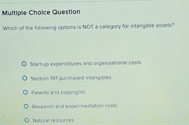 Question
Which of the following options is NOT a category for intangible assets?
Start-up expenditures and organizational costs
Section 197 purchased intangibles
Patents and copyrights
Research and experimentation costs
Natural resources