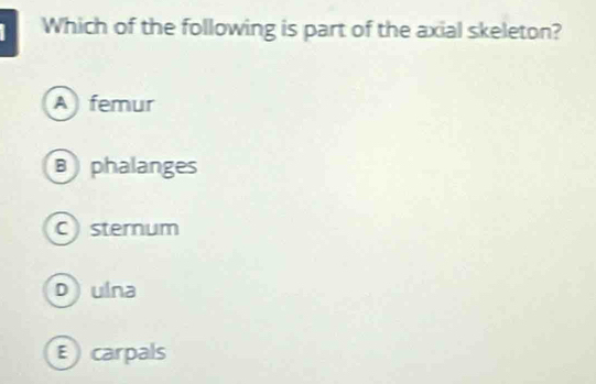 Which of the following is part of the axial skeleton?
A femur
Bphalanges
C sternum
D ulna
E carpals