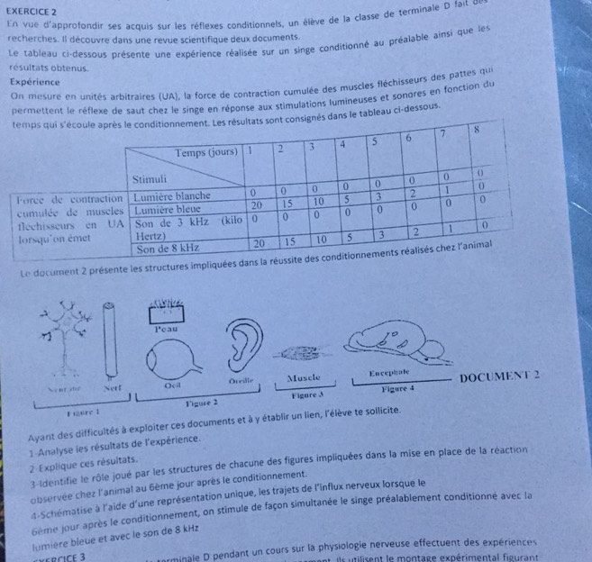 En vue d'approfondir ses acquis sur les réflexes conditionnels, un élève de la classe de terminale D fait de
recherches. Il découvre dans une revue scientifique deux documents.
Le tableau ci-dessous présente une expérience réalisée sur un singe conditionné au préalable ainsi que les
résultats obtenus.
Expérience
On mesure en unités arbitraires (UA), la force de contraction cumulée des muscles fléchisseurs des pattes quei
permettent le réflexe de saut chez le singe en réponse aux stimulations lumineuses et sonores en fonction du
s dans le tableau ci-dessous.
Le document 2 présente les structures impliquées 
Ayant des difficultés à exploiter ces documents et à y établir un 
1 Analyse les résultats de l'expérience.
2 Explique ces résultats.
3-Identifie le rôle joué par les structures de chacune des figures impliquées dans la mise en place de la réaction
observée chez l'animal au 6ème jour après le conditionnement.
4-Schématise à l'aide d'une représentation unique, les trajets de l'influx nerveux lorsque le
6ème jour après le conditionnement, on stimule de façon simultanée le singe préalablement conditionné avec la
lumière bleue et avec le son de 8 kHz
arminale D pendant un cours sur la physiologie nerveuse effectuent des expériences
ils tilisent le montage expérimental figurant