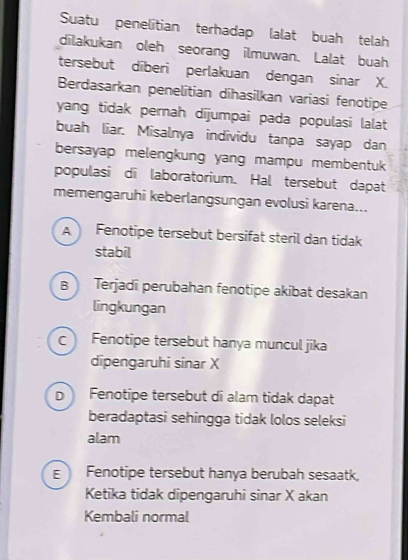 Suatu penelitian terhadap lalat buah telah
dilakukan oleh seorang ilmuwan. Lalat buah
tersebut diberi perlakuan dengan sinar X.
Berdasarkan penelitian dihasilkan variasi fenotipe
yang tidak pernah dijumpai pada populasi lalat
buah liar. Misalnya individu tanpa sayap dan
bersayap melengkung yang mampu membentuk 
populasi di laboratorium. Hal tersebut dapat
memengaruhi keberlangsungan evolusi karena...
A Fenotipe tersebut bersifat steril dan tidak
stabil
B Terjadî perubahan fenotipe akibat desakan
lingkungan
c Fenotipe tersebut hanya muncul jika
dipengaruhi sinar X
D Fenotipe tersebut di alam tidak dapat
beradaptasi sehingga tidak lolos seleksi
alam
E  Fenotipe tersebut hanya berubah sesaatk,
Ketika tidak dipengaruhi sinar X akan
Kembali normal