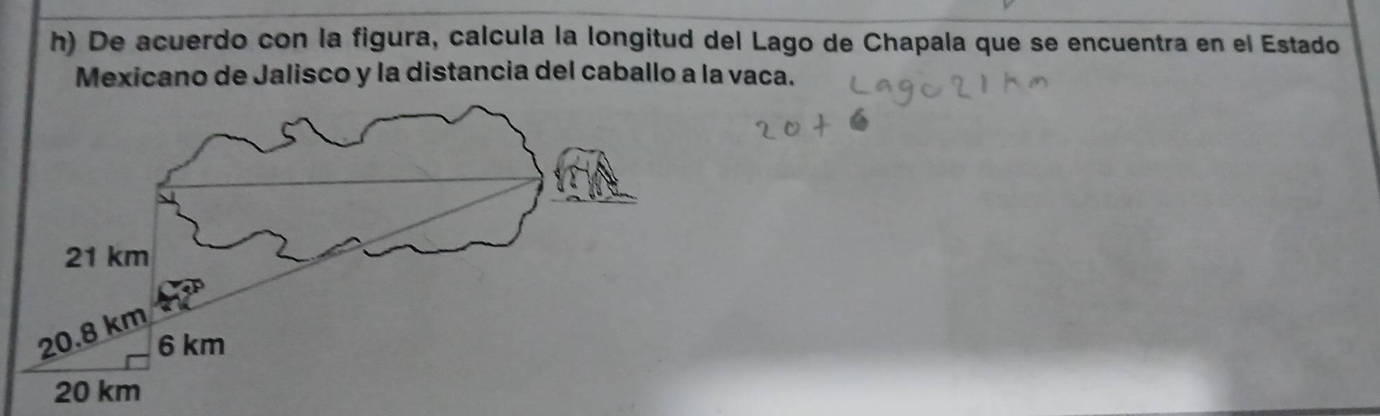 De acuerdo con la figura, calcula la longitud del Lago de Chapala que se encuentra en el Estado 
Mexicano de Jalisco y la distancia del caballo a la vaca.