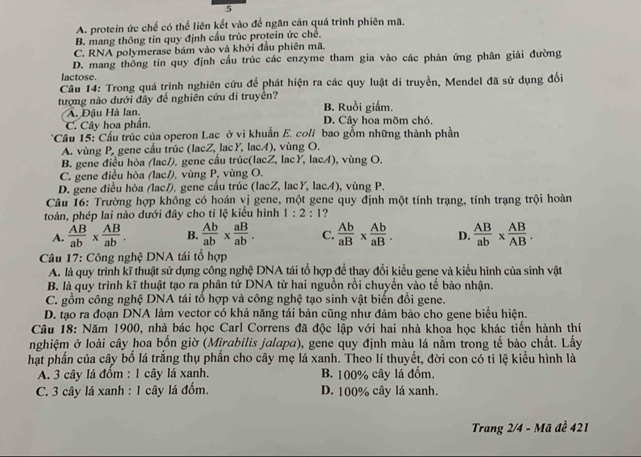 5
A. protein ức chế có thể liên kết vào để ngăn cản quá trình phiên mã.
B. mang thông tin quy định cấu trúc protein ức chế.
C. RNA polymerase bám vào và khởi đầu phiên mã.
D. mang thông tin quy định cấu trúc các enzyme tham gia vào các phản ứng phân giải đường
lactose.
Cầu 14: Trong quá trình nghiên cứu để phát hiện ra các quy luật di truyền, Mendel đã sử dụng đối
tượng nào dưới đây để nghiên cứu di truyền?
A. Đậu Hà lan. B. Ruồi giấm.
C. Cây hoa phần. D. Cây hoa mõm chó.
Cầu 15: Cầu trúc của operon Lac ở vi khuẩn E. coli bao gồm những thành phần
A. vùng P, gene cấu trúc (lacZ, lacY, lacA), vùng O.
B. gene điều hòa (lac/), gene cầu trúc(lacZ, lacY, lacA), vùng O.
C. gene điều hòa (lac/), vùng P, vùng O.
D. gene điều hòa (lac/), gene cấu trúc (lacZ, lacY, lacA), vùng P.
Câu 16: Trường hợp không có hoán vị gene, một gene quy định một tính trạng, tính trạng trội hoàn
toàn, phép lai nào dưới đây cho tỉ lệ kiểu hình 1:2:1 ?
A.  AB/ab *  AB/ab . B.  Ab/ab *  aB/ab . C.  Ab/aB *  Ab/aB . D.  AB/ab *  AB/AB .
Câu 17: Công nghệ DNA tái tổ hợp
A. là quy trình kĩ thuật sử dụng công nghệ DNA tái tổ hợp để thay đổi kiểu gene và kiểu hình của sinh vật
B. là quy trình kĩ thuật tạo ra phân tử DNA từ hai nguồn rồi chuyền vào tế bào nhận.
C. gồm công nghệ DNA tái tổ hợp và công nghệ tạo sinh vật biến đồi gene.
D. tạo ra đoạn DNA làm vector có khả năng tái bản cũng như đảm bảo cho gene biểu hiện.
Câu 18: Năm 1900, nhà bác học Carl Correns đã độc lập với hai nhà khoa học khác tiến hành thí
nghiệm ở loài cây hoa bốn giờ (Mirabilis jalapa), gene quy định màu lá nằm trong tế bào chất. Lấy
hạt phần của cây bố lá trắng thụ phần cho cây mẹ lá xanh. Theo lí thuyết, đời con có tỉ lệ kiểu hình là
A. 3 cây lá đổm : 1 cây lá xanh. B. 100% cây lá đốm.
C. 3 cây lá xanh : 1 cây lá đốm. D. 100% cây lá xanh.
Trang 2/4 - Mã đề 421