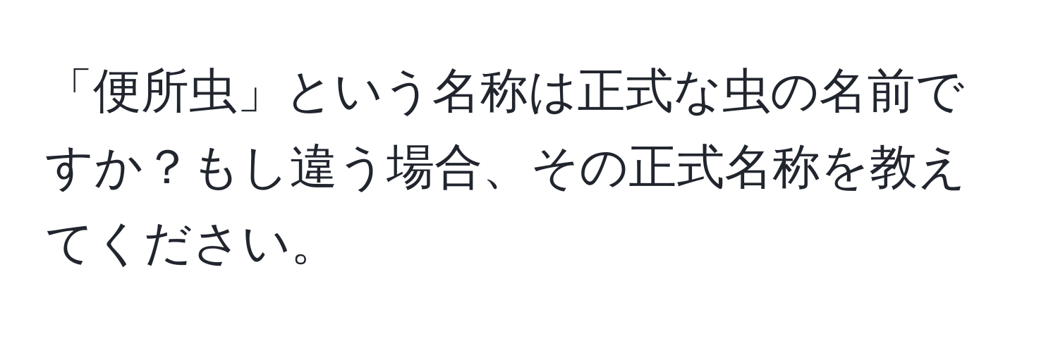 「便所虫」という名称は正式な虫の名前ですか？もし違う場合、その正式名称を教えてください。