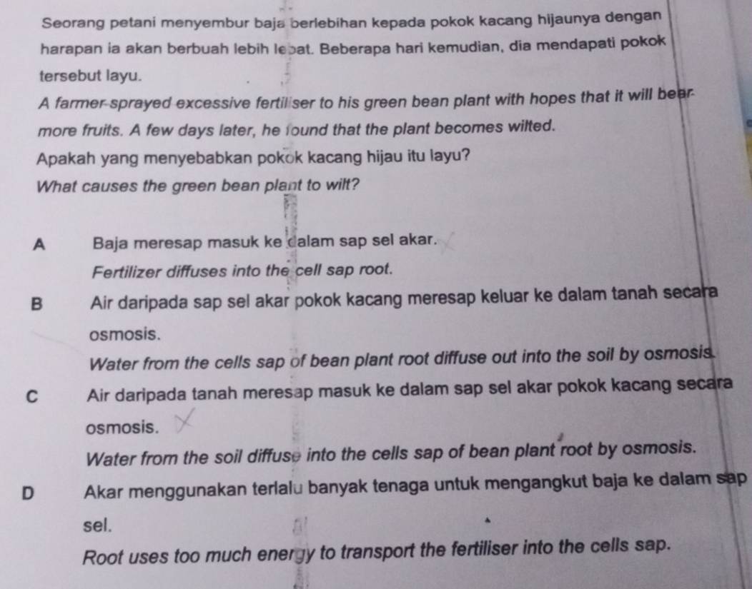 Seorang petani menyembur baja berlebihan kepada pokok kacang hijaunya dengan
harapan ia akan berbuah lebih lebat. Beberapa hari kemudian, dia mendapati pokok
tersebut layu.
A farmer sprayed excessive fertiliser to his green bean plant with hopes that it will bear
more fruits. A few days later, he found that the plant becomes wilted.
Apakah yang menyebabkan pokok kacang hijau itu layu?
What causes the green bean plant to wilt?
A Baja meresap masuk ke dalam sap sel akar.
Fertilizer diffuses into the cell sap root.
B Air daripada sap sel akar pokok kacang meresap keluar ke dalam tanah secara
osmosis.
Water from the cells sap of bean plant root diffuse out into the soil by osmosis.
C Air daripada tanah meresap masuk ke dalam sap sel akar pokok kacang secara
osmosis.
Water from the soil diffuse into the cells sap of bean plant root by osmosis.
D Akar menggunakan terlalu banyak tenaga untuk mengangkut baja ke dalam sap
sel.
Root uses too much energy to transport the fertiliser into the cells sap.