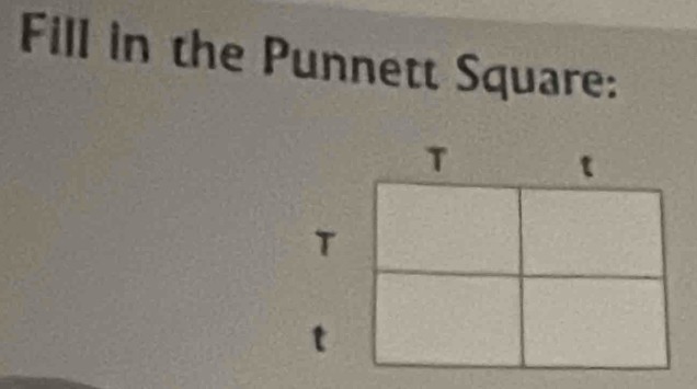 Fill in the Punnett Square: