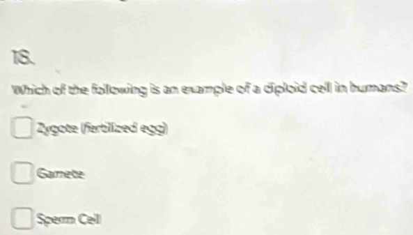 Which of the following is an example of a diploid cell in humans?
Zygote (fertilized egg)
Gamete
Sperrm Cell