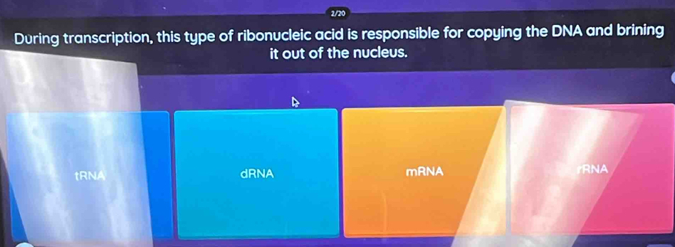 2/20
During transcription, this type of ribonucleic acid is responsible for copying the DNA and brining
it out of the nucleus.
tRNA dRNA mRNA rRNA