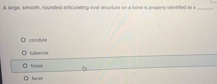 Solved: A large, smooth, rounded articulating oval structure on a bone ...