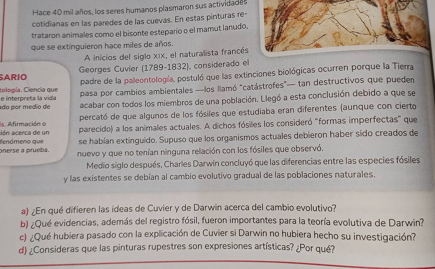 Hace 40 mil años, los seres humanos plasmaron sus actividades
cotidianas en las paredes de las cuevas. En estas pinturas re-
trataron animales como el bisonte estepario o el mamut lanudo,
que se extinguieron hace miles de años.
A inicios del siglo XIX, el naturalista francés
SARIO Georges Cuvier (1789-1832), considerado el
padre de la paleontología, postuló que las extinciones biológicas ocurren porque la Tierra
e interpreta la vida pasa por cambios ambientales —los llamó “catástrofes”— tan destructivos que pueden
tología. Ciencia que
do por medio de acabar con todos los miembros de una población. Llegó a esta conclusión debido a que se
is. Afirmación o percató de que algunos de los fósiles que estudiaba eran diferentes (aunque con cierto
ión acerca de un parecido) a los animales actuales. A dichos fósiles los consideró “formas imperfectas” que
fenómeno que se habían extinguido. Supuso que los organismos actuales debieron haber sido creados de
onerse a prueba. nuevo y que no tenían ninguna relación con los fósiles que observó.
Medio siglo después, Charles Darwin concluyó que las diferencias entre las especies fósiles
y las existentes se debían al cambio evolutivo gradual de las poblaciones naturales.
a) ¿En qué difieren las ideas de Cuvier y de Darwin acerca del cambio evolutivo?
b) ¿Qué evidencias, además del registro fósil, fueron importantes para la teoría evolutiva de Darwin?
c) ¿Qué hubiera pasado con la explicación de Cuvier si Darwin no hubiera hecho su investigación?
d) ¿Consideras que las pinturas rupestres son expresiones artísticas? ¿Por qué?