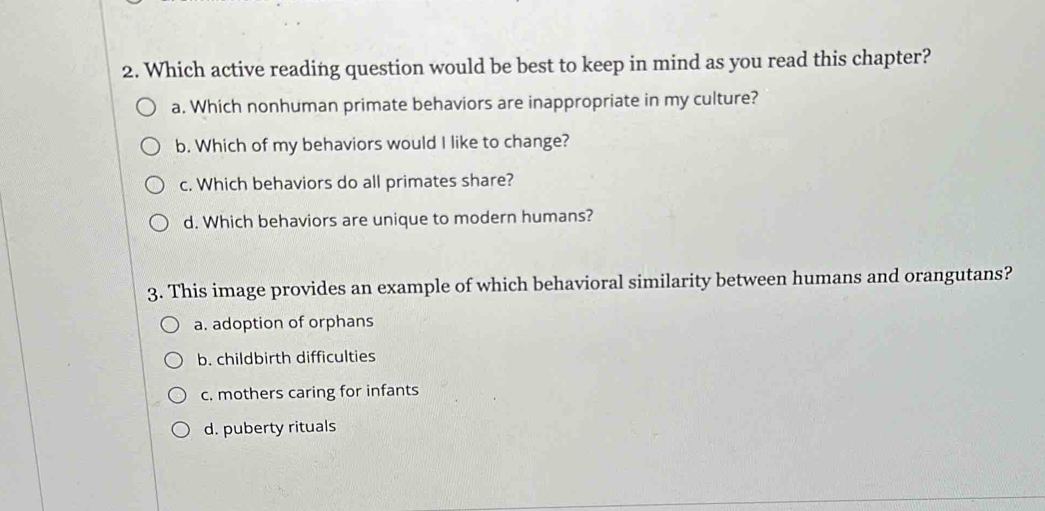 Which active reading question would be best to keep in mind as you read this chapter?
a. Which nonhuman primate behaviors are inappropriate in my culture?
b. Which of my behaviors would I like to change?
c. Which behaviors do all primates share?
d. Which behaviors are unique to modern humans?
3. This image provides an example of which behavioral similarity between humans and orangutans?
a. adoption of orphans
b. childbirth difficulties
c. mothers caring for infants
d. puberty rituals