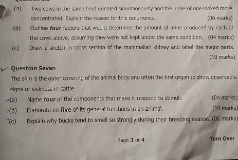 Two cows in the same herd urinated simultaneously and the urine of one looked more 
concentrated. Explain the reason for this occurrence. (06 marks) 
(b) Outline four factors that would determine the amount of urine produced by each of 
the cows above, assuming they were not kept under the same condition. (04 marks) 
(c) Draw a sketch in cross section of the mammalian kidney and label the major parts. 
(10 marks) 
Question Seven 
The skin is the outer covering of the animal body and often the first organ to show observable 
signs of sickness in cattle. 
→(a) Name four of the components that make it respond to stimuli. (04 marks) 
~(b) Elaborate on five of its general functions in an animal. (10 marks) 
*(c) Explain why bucks tend to smell so strongly during their breeding season. (06 marks) 
Page 3 of 4 Turn Over